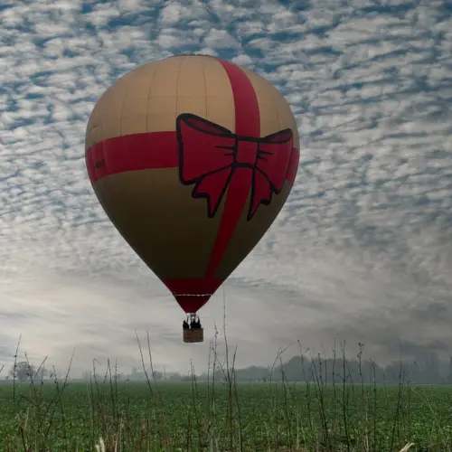 Exclusive Balloon Flight for 3 People